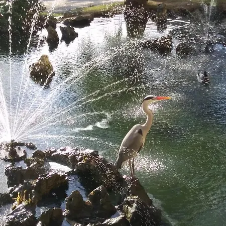 Dal Pescatore Apartman Arenzano